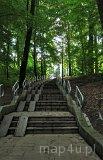 Park Zdrojowy im. M. Witczaka w Jastrzębiu-Zdroju (fot. Krzysztof Jędryczkowski)
