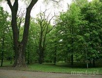 Sosnowiec. Pałac Wilhelma. Park (fot. Agnieszka Drożdż i Jurek Hyra)