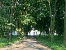 Szczekociny. Zespół pałacowy Dembińskich, XIX w. (fot. Agnieszka Drożdż i Jurek Hyra)