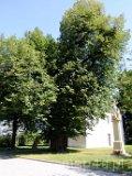 Twork&oacute;w. Kaplica pw. św. Urbana (fot. Wojciech Kaczmarczyk)