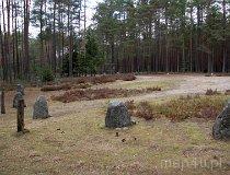 Las Grzybnicki. Rezerwat archeologiczny „Kamienne Kręgi” (fot. Łukasz Konieczny)