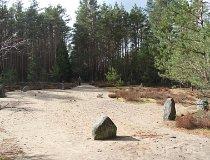 Las Grzybnicki. Rezerwat archeologiczny „Kamienne Kręgi” (fot. Łukasz Konieczny)
