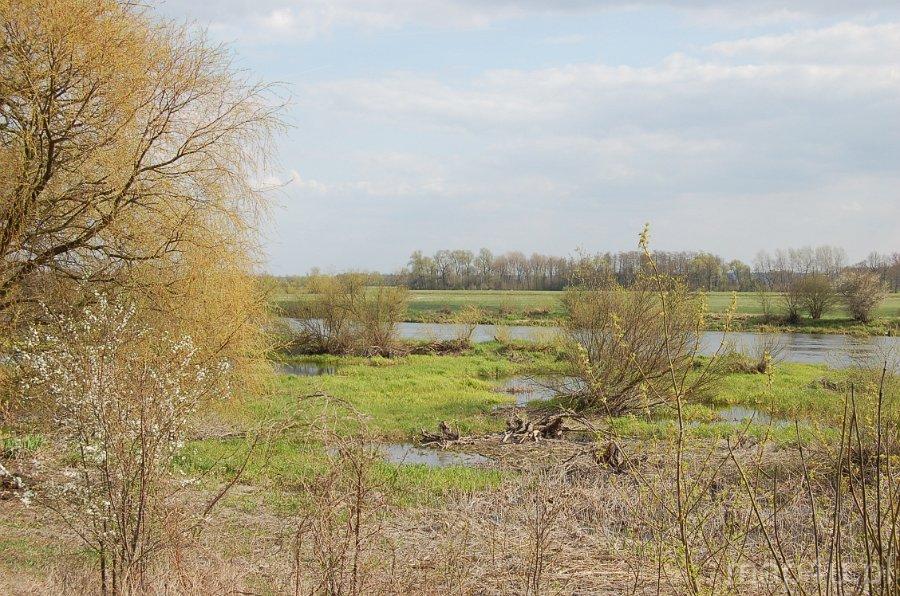 Ciążeń. Nadwarciański Park Krajobrazowy (fot. Agnieszka Rytel)