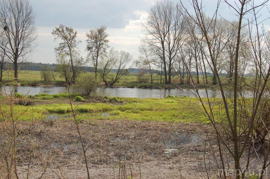 Ciążeń. Nadwarciański Park Krajobrazowy (fot. Agnieszka Rytel)