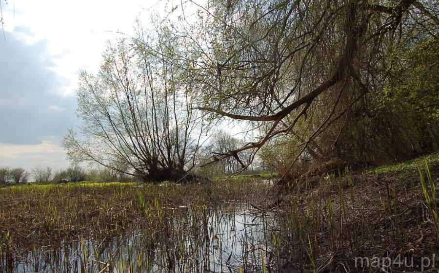 Ciążeń. Nadwarciański Park Krajobrazowy (fot. Agnieszka Rytel)