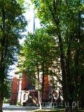 Gliwice. Katedra pw. śś. Apostołów Piotra i Pawła (fot. Janusz Dębowski)