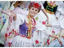 Pałac Śląski. Zespół Śląsk. Koszęcin (fot. Zespół Śląsk)