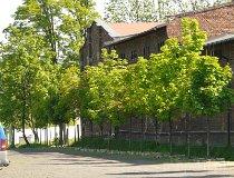Ruda Śląska-Bielszowice. Dwór Nowa Ruda. Muzeum PRL (fot. Bartosz Dębowski)