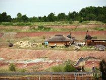 Krasiejów k. Opola. JuraPark, ścieżka edukacyjna (fot. Magdalena Suchan)