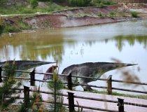 Krasiejów k. Opola. JuraPark, ścieżka edukacyjna (fot. Magdalena Suchan)