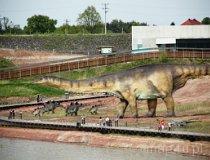 Krasiejów k. Opola. JuraPark, ścieżka edukacyjna (fot. Magdalena Suchan)