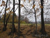 Bielsko-Biała. Grodzisko w Starym Bielsku (fot. Grażyna Tlałka)