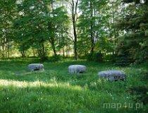 Węgierska Górka. Fort Wędrowiec (fot. Dariusz Kózka)