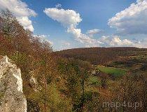 Bystrzanowice-Dw&oacute;r. Rezerwat leśny Bukowa Kępa (fot. Lidia Kamińska-Koj)