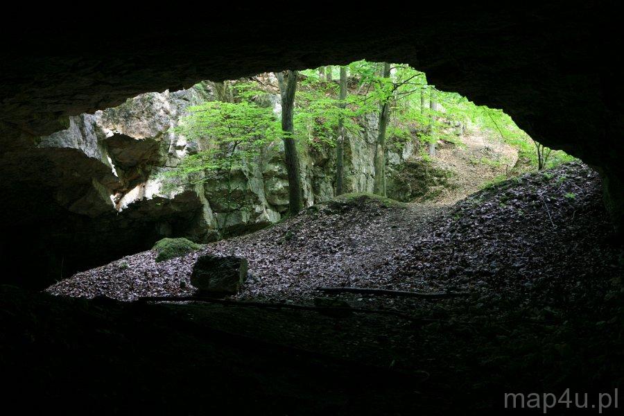 Rezerwat Przyrody Szachownica Rezerwat przyrody, jaskinia Szachownica. - Portal Turystyki Aktywnej