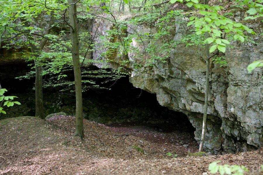 Rezerwat Przyrody Szachownica Rezerwat przyrody, jaskinia Szachownica. - Portal Turystyki Aktywnej