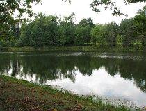 Dzierżązna. Gminny Ośrodek Kultury. Zesp&oacute;ł dworsko-parkowy. Staw (fot. Tomasz Szwagrzak)