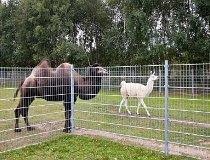 Przybyn&oacute;w. Gospodarstwo agroturystyczne „Pod Skałką” (fot. Agnieszka Drożdż i Jurek Hyra)