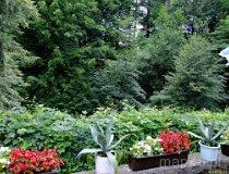 Ustroń. Willa "Źr&oacute;dełko Żelaziste" (fot. Wojciech Kaczmarczyk)