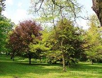 Łężany. Zespół Pałacowo Parkowy (fot. Łukasz Konieczny)