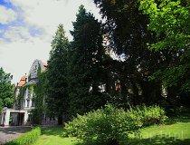 Łężany. Zespół pałącowo-parkowy (fot. Marek i Ewa Wojciechowscy)