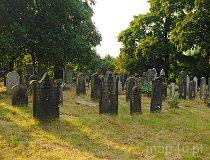Pyskowice, Cmentarz Żydowski w Pyskowicach (fot. Krzysztof Jędryczkowski)