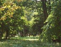 Kraszkowice. Park dworski z połowy XIX w. (fot. Arkadiusz Makoski)