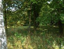 Kraszkowice. Park dworski z połowy XIX w. (fot. Marta Pabich-Makoska)