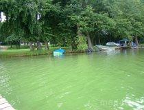 Giewart&oacute;w. Zesp&oacute;ł pałacowo-parkowy, kąpielisko (fot. Magdalena Suchan)