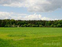 Zespół Przyrodniczo-Krajobrazowy „Borkowice”. Okolice Dłutówka (fot. Piotr Solle)