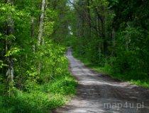 Zespół Przyrodniczo-Krajobrazowy „Borkowice”. Okolice Łazisk (fot. Piotr Solle)