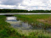 Zespół Przyrodniczo-Krajobrazowy „Borkowice”. Staw Torfianka na pograniczu ZPK (fot. Piotr Solle)