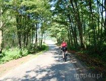 Jezioro Powidzkie. Trasa rowerowa wokoło jeziora (fot. Magdalena Suchan)