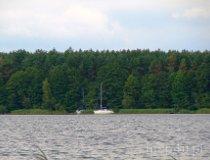 Giewart&oacute;w. Jezioro Powidzkie (fot. Magdalena Suchan)