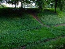 Wieruszów. Relikty zamku wieruszowskiego i pałacu Malzahna (fot. Piotr Solle)