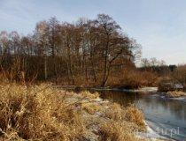 Dzwonkowice. Grodzisko stożkowate. Pozostałość siedziby obronnej z XIV w. (fot. Piotr Solle)