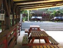 Rochna. Restauracja „Fregata” (fot. Tomasz Szwagrzak)