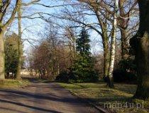Lubczyna. Zesp&oacute;ł pałacowo-parkowo-folwarczny Sczanieckich, obecnie Gospodarstwo agroturystyczne „Pałac Lubczyna” - A. W. Wawrzyniak. Park (fot. Piotr Solle)