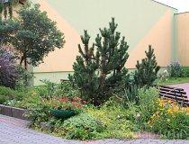 Darłówko Wschodnie. Ośrodek wczasowy „Gniewko” (fot. Jarosław Świerczyński)