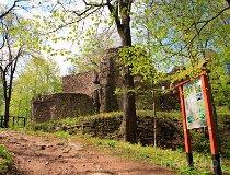 Janowice Wielkie. Zamek Bolczów (fot. Ewa i Marek Wojciechowscy)