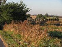 Grębień. Cmentarz parafialny (fot. Maciej Kronenberg)