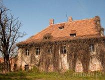 Dziewin. Zamek (fot. Łukasz Konieczny)