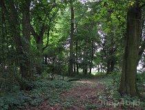 Kopydłów. Zespół dworsko-parkowy (fot. Maciej Kronenberg)