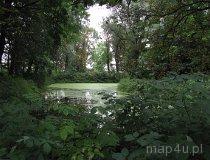 Kopydłów. Zespół dworsko-parkowy (fot. Maciej Kronenberg)