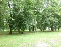 Komorniki. Zabytkowy park z pomnikowymi drzewami (fot. Renata Leśniak-Kordzińska)