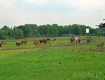 Świerkocin. ZOO Safari Świerkocin (fot. Marek i Ewa Wojciechowscy)