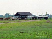 Świerkocin. ZOO Safari Świerkocin (fot. Marek i Ewa Wojciechowscy)