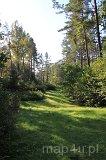 Kopna Góra. Arboretum im. Powstańców 1863 r. (fot. Agnieszka Rytel)