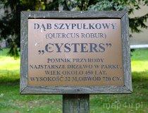 Rudy. Pocysterski zespół klasztorno-pałacowy (fot. Wojciech Kaczmarczyk)