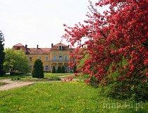 Wysocko. Pałac Czartoryskich (fot. Marek i Ewa Wojciechowscy)
